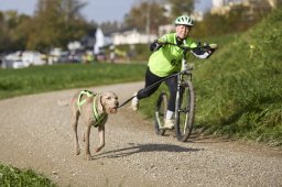 Weinfelden 2024