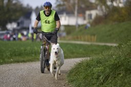 Weinfelden 2024