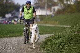 Weinfelden 2024