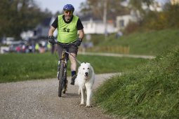 Weinfelden 2024