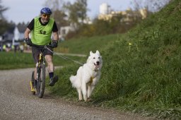 Weinfelden 2024