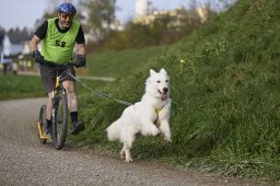 Weinfelden 2024