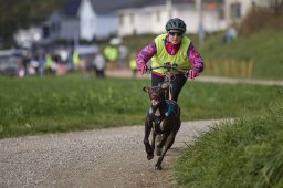 Weinfelden 2024