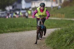 Weinfelden 2024
