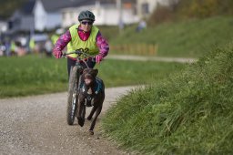 Weinfelden 2024