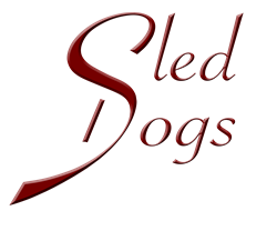 sleddogs.ch